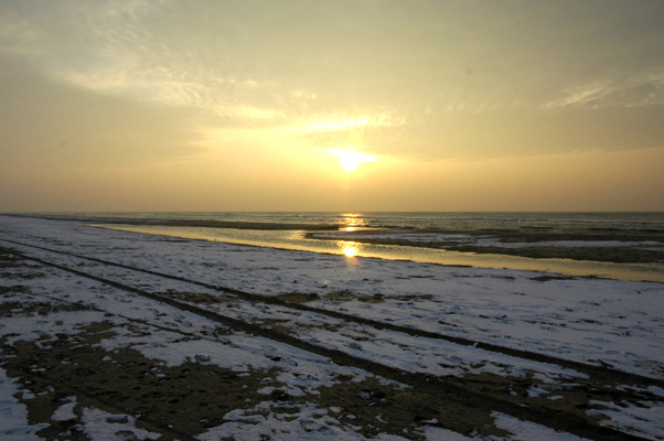 Beach, Bloemendaal aan Zee