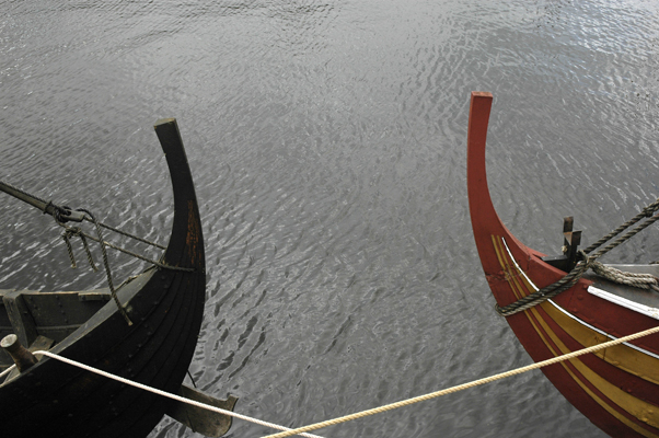Viking Ships