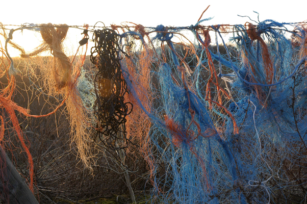 Beach Rags
